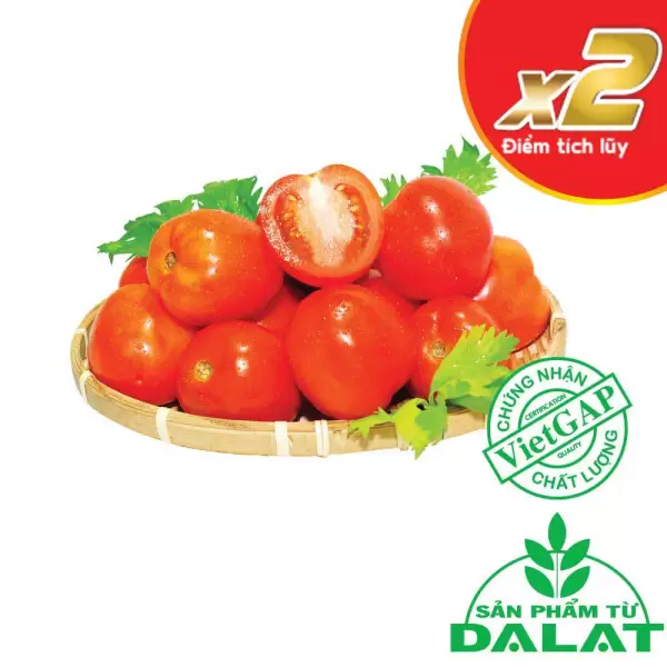 Cà chua Đà Lạt