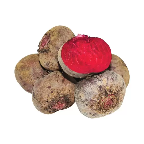 Củ dền Đà Lạt