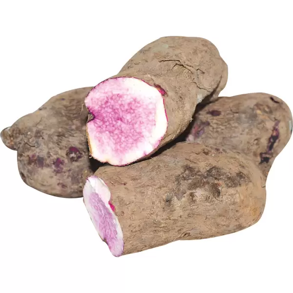 Khoai mỡ